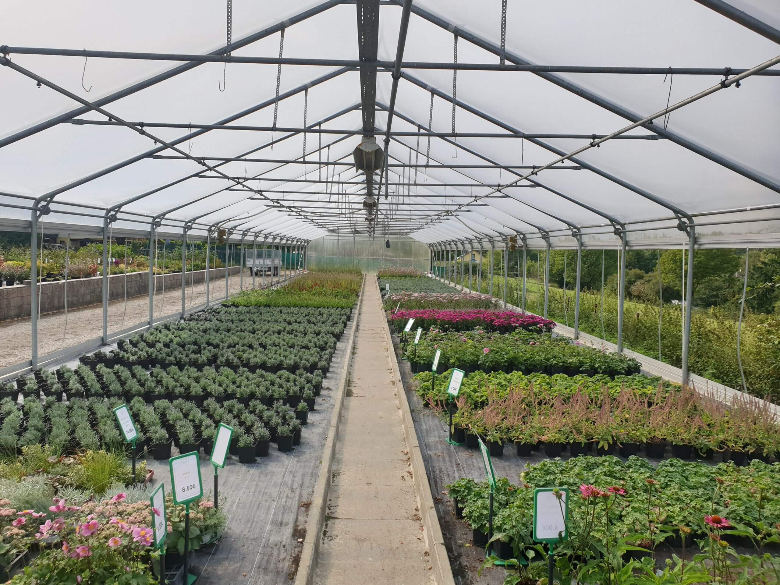 20210922_141258-scaled