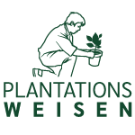 Plantations Weisen