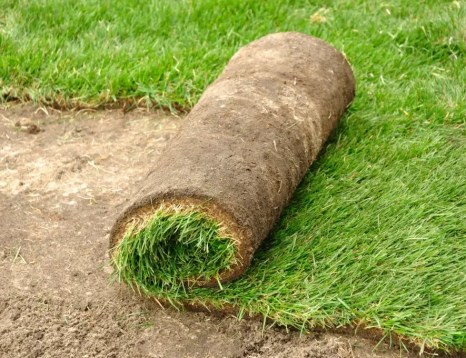 rouleau de gazon luxembourg