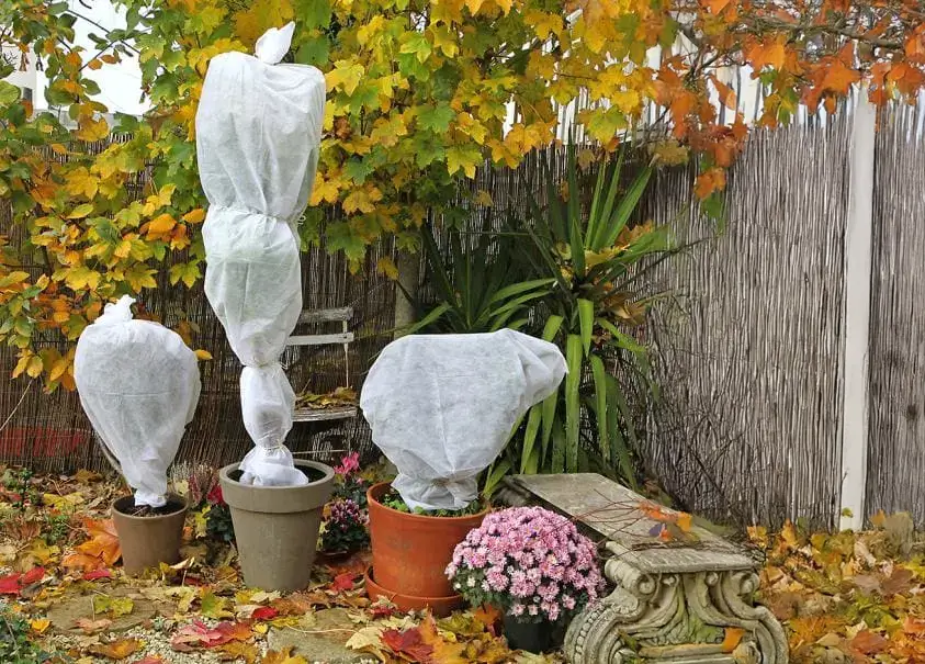 Überwintern Sie Ihren Garten: Ihre Geräte, Ihre Pflanzen mit Hüllen, Ihre Einrichtungen mit Planen, oder in die Garage zu fahren.