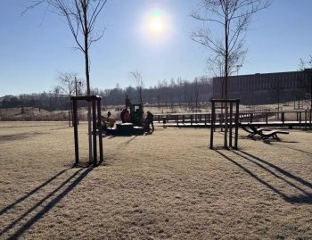 Des ouvriers de Plantations Weisen sont en train de mettre en terre des arbres au parc de Gasperich au mois de janvier.