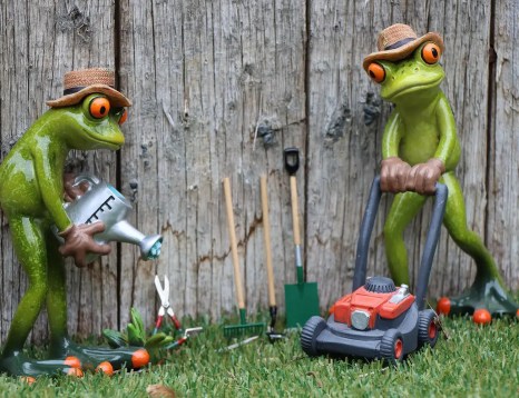 Prepare your garden for spring is essential: lawn, watering, amendments, planting...