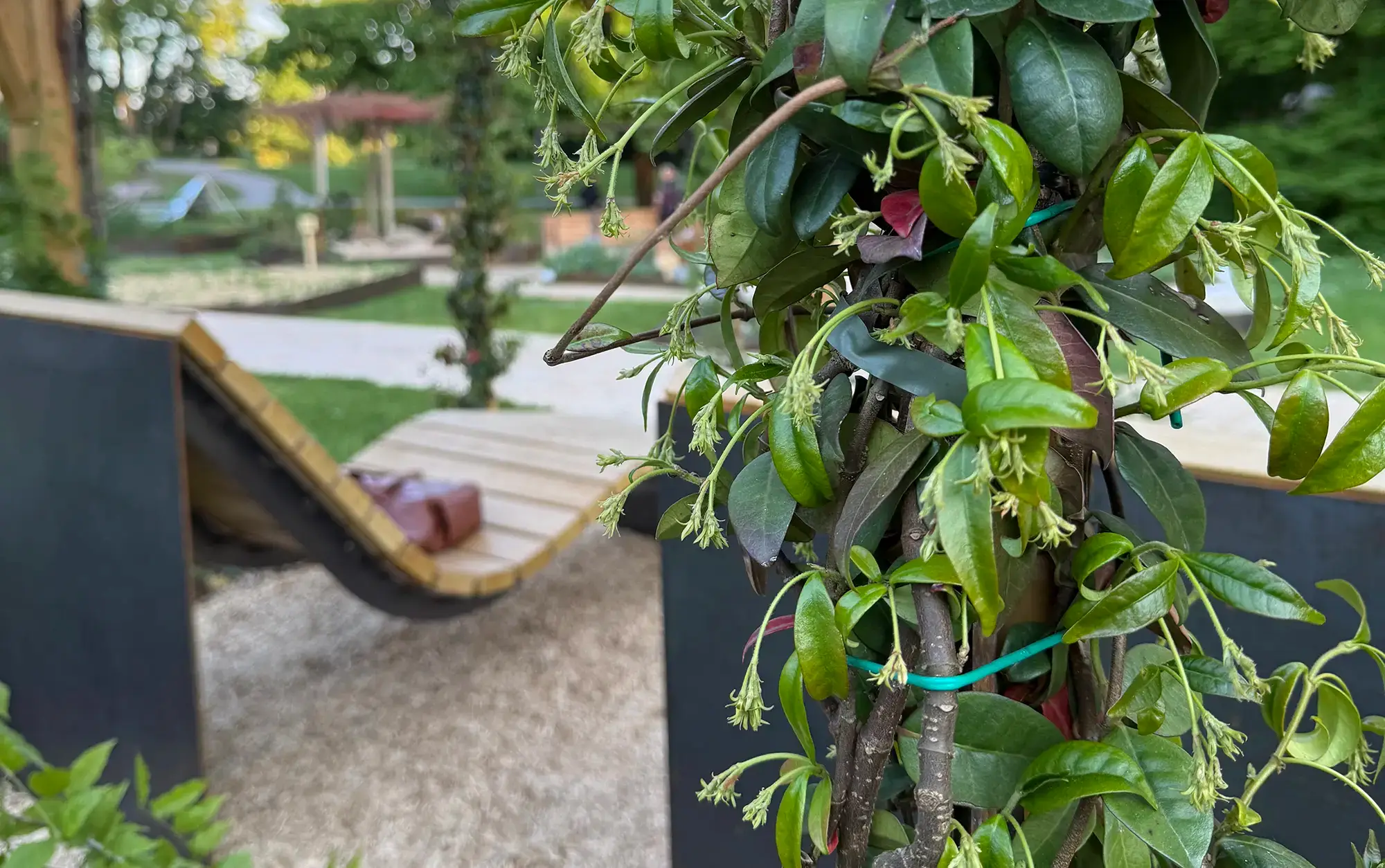 Plantations Weisen presents LUGA, a collective exhibition about nature.