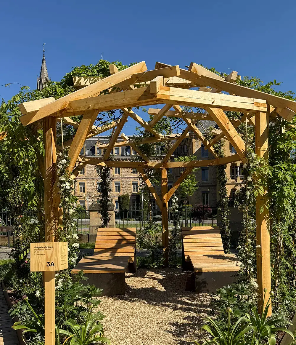 Ein Pflanzenschutzgebiet in Luxemburg-Stadt mit Plantations Weisen.