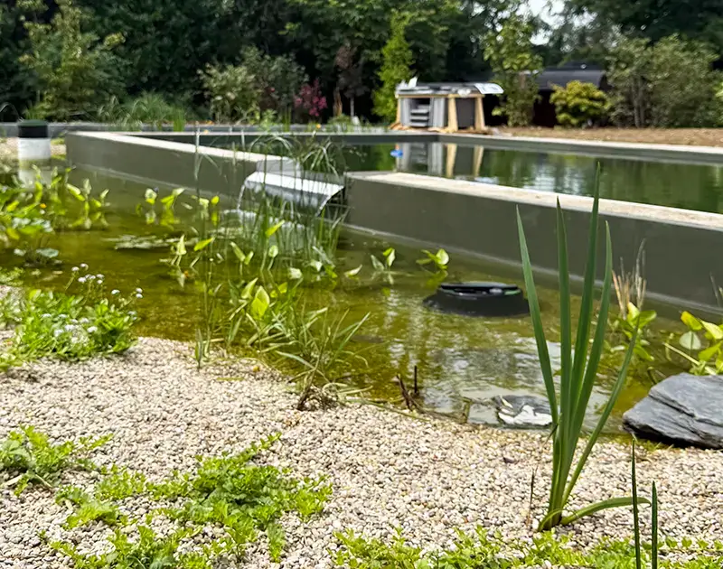 Ökologische Filterung in einem privaten Swimmingpool in Luxemburg.
