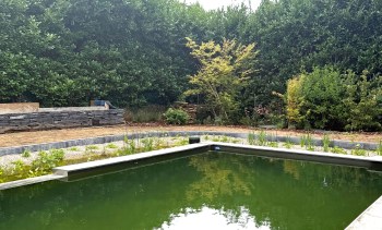 Naturpool in einem privaten Garten in Bridel in Luxemburg, realisiert von Plantations Weisen.