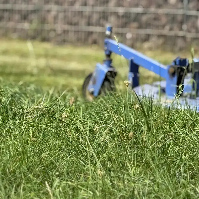 Astuces pour que votre pelouse ne soit pas jaune et sèche en été avec une entreprise spécialisée en jardinage.