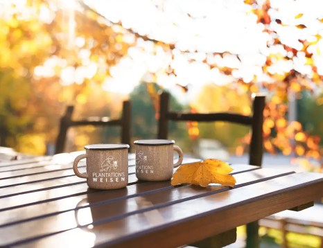 For a good autumn chill over cups of coffee, follow the pro tips from Plantations Weisen.