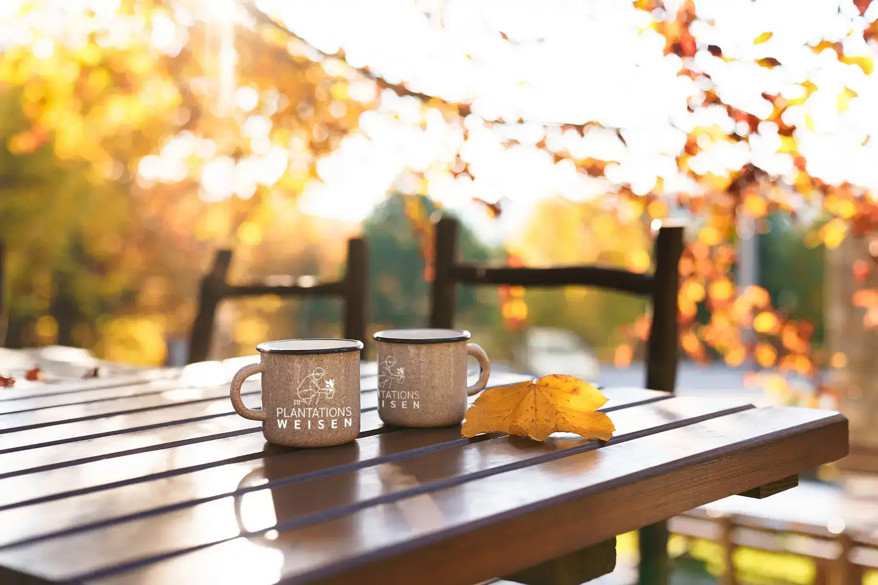 Wenn Sie im Herbst bei einer Tasse Kaffee chillen möchten, folgen Sie den professionellen Tipps von Plantations Weisen.
