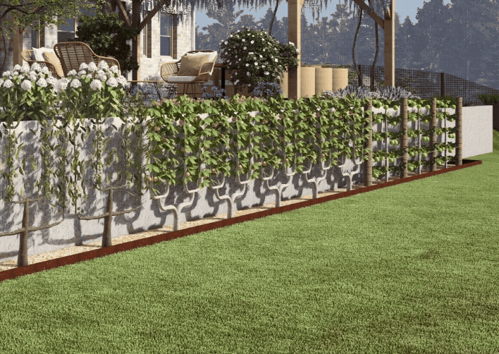 hedgerows-palms-modeling-VS-reality-Plantations-Weisen