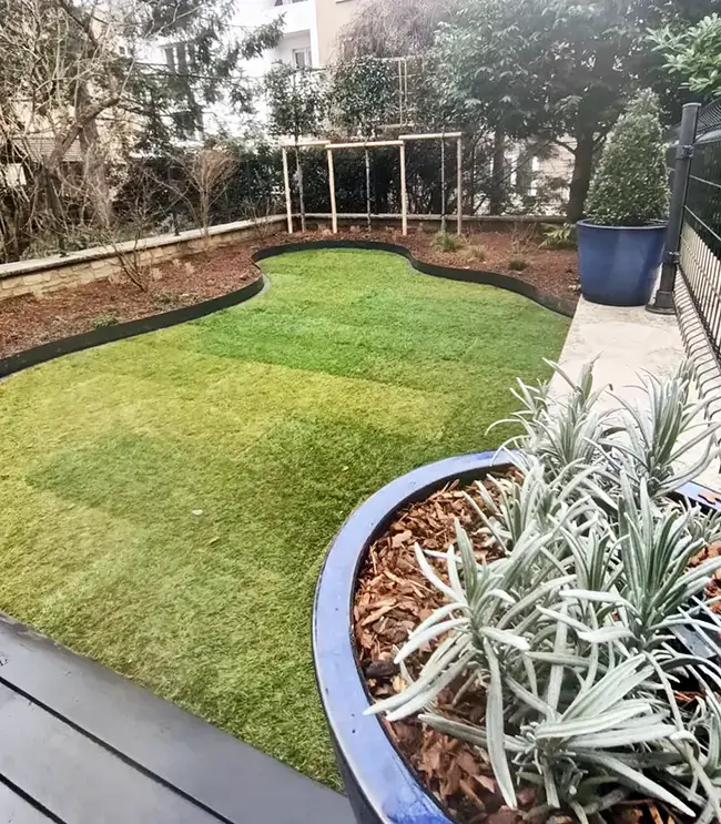 Ein Mini-Garten, der dank Rollrasen und immergrüner Vegetation sofort einsatzbereit ist, um im Winter eingerichtet zu werden.