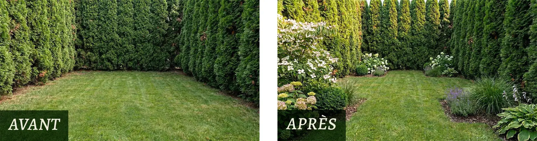 Découvrez comment aménager sa pelouse vide et nue grâce aux conseils professionnels de l'entreprise paysagiste Plantations Weisen.