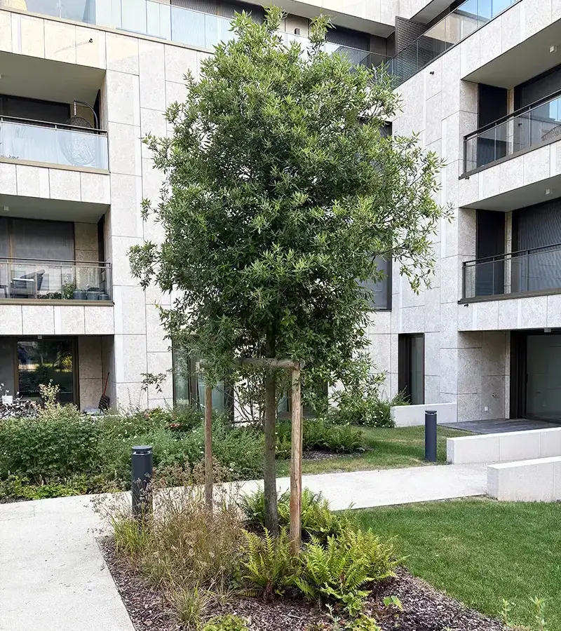 La société Plantations Weisen propose d'entretenir les espaces extérieurs des immeubles au Grand-Duché de Luxembourg.