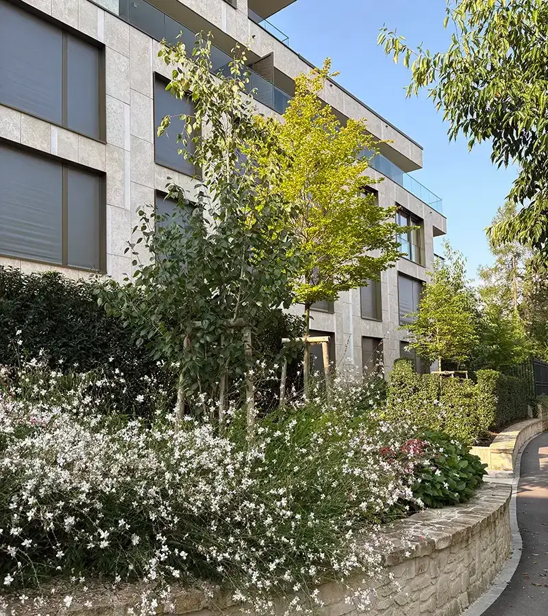 La société Plantations Weisen excelle dans son expertise en espaces extérieurs pour les immeubles au Grand-Duché de Luxembourg.