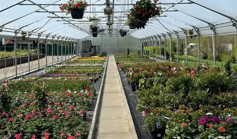 The Plantations Weisen nursery offers a wide variety of plants and flowers to prepare your garden in the Grand Duchy.