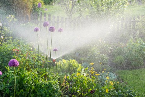 Une habitante du Luxembourg arrose son potager pour préparer les besoins en eau de son jardin.