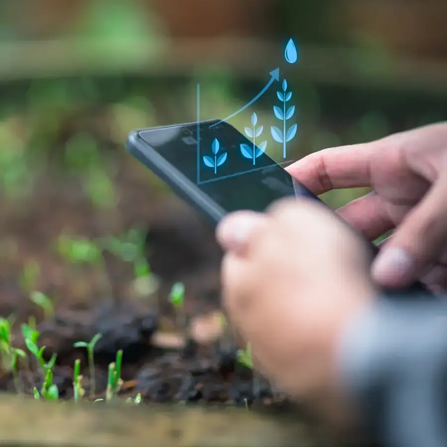A resident of the Grand Duchy manages the watering of his plantations using sensors and a connected smartphone application.